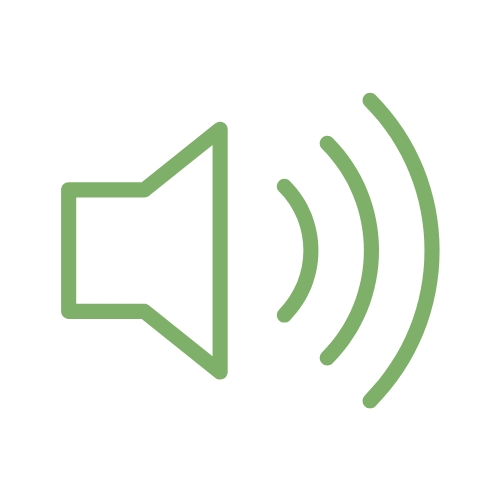 Audio